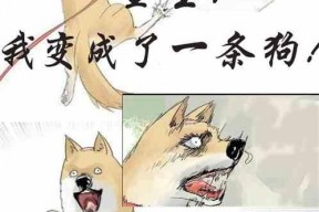 娱乐吃瓜宠物小说免费阅读,吃瓜小说免费畅读